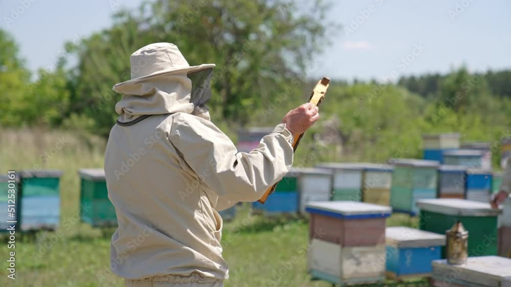 Adult male apiarist passes a honey frame to the younger apiculturist. Beekeeper puts a full frame into a wooden beehive. Adult male apiarist passes a honey frame to the younger apiculturist. Beekeeper puts a full frame into a wooden beehive.