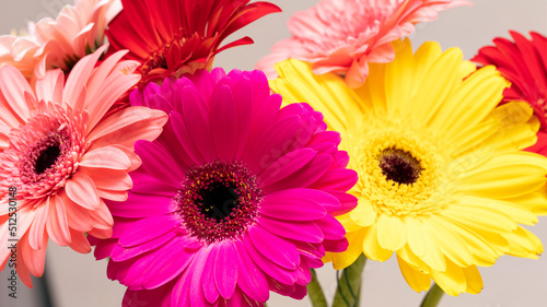 Close-up of multicolored gerbera flowers bouquet as background.