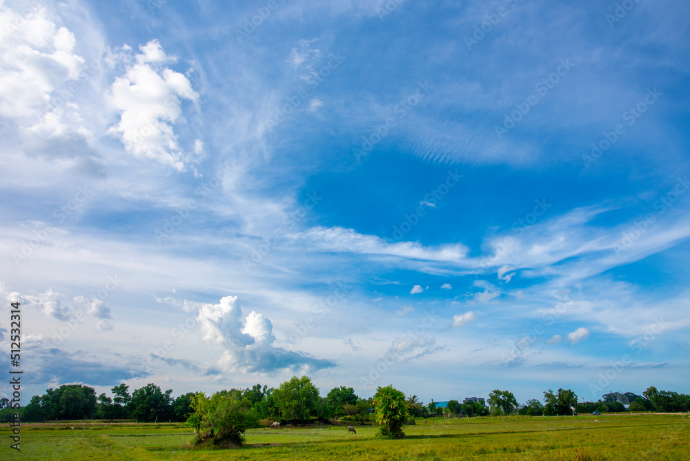 blue sky and white clouds.