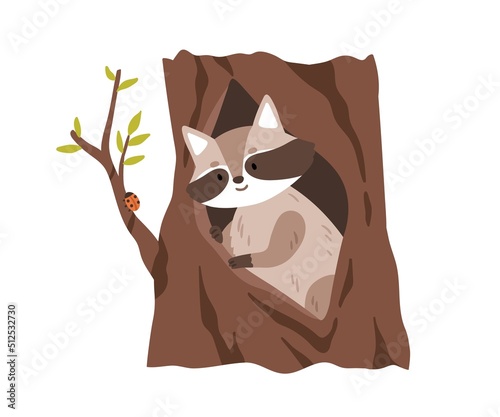 Cute raccoon in tree hole shelter. Forest animal watching for insect, ladybug on branch. Coon inside trunk hollow, den home in woods. Flat vector illustration isolated on white background