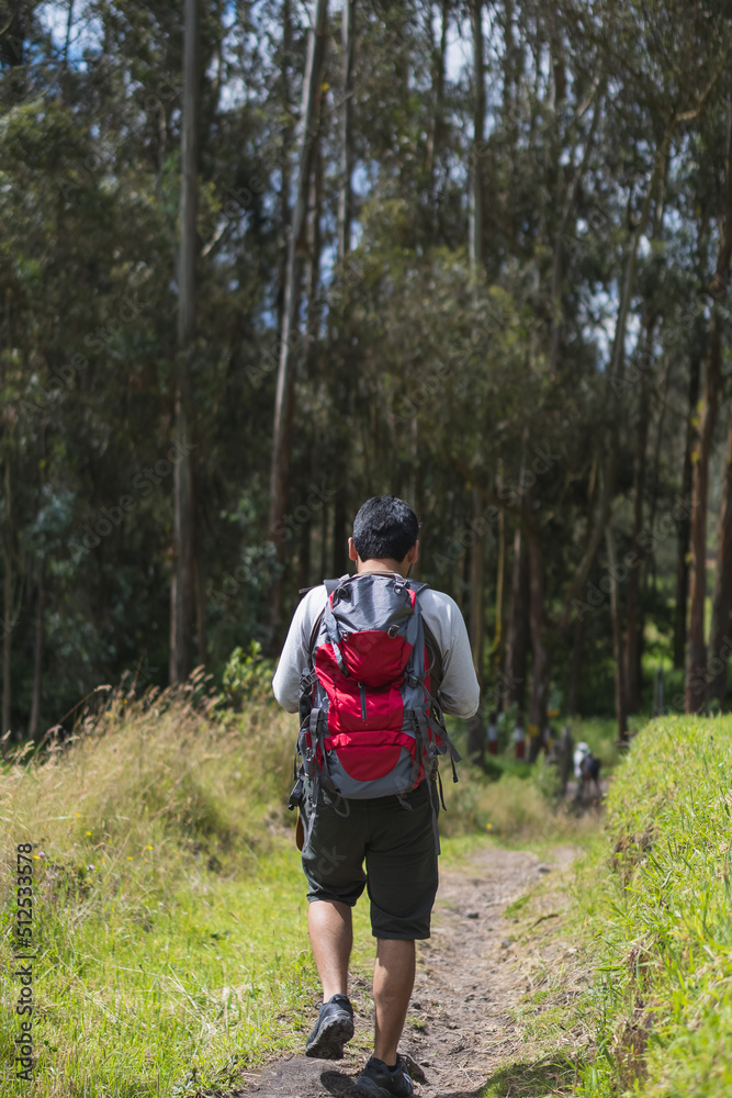 Anonymous male hiker walking towards forest Anonymous male hiker walking towards forest