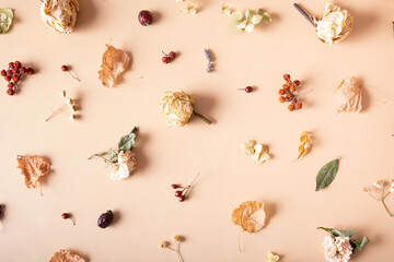 Autumn composition. Pattern made of dried leaves and flowers on pastel beige background. Autumn, fall concept. Flat lay, top view