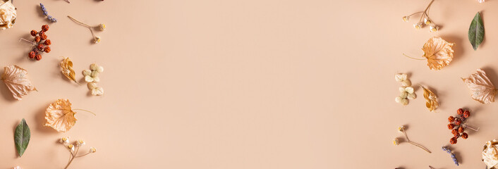 Autumn banner. Pattern made of dried leaves and flowers on pastel beige background. Autumn, fall concept. Flat lay, top view, copy space