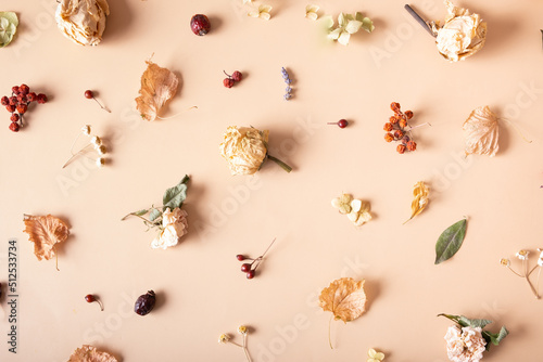 Autumn composition. Pattern made of dried leaves and flowers on pastel beige background. Autumn, fall concept. Flat lay, top view