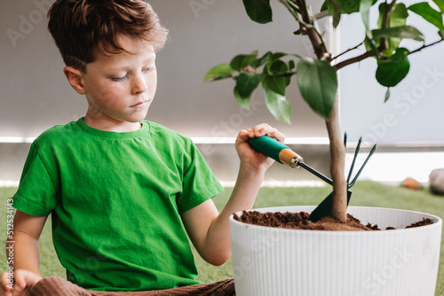 Boy loosening soil in flowerpot at home