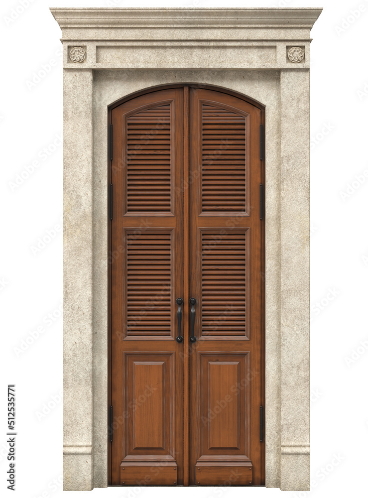 Entrance classic doors for the house