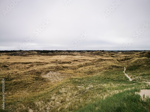 Foto Coastal dunes at the Danish north sea under a cloudy sky.