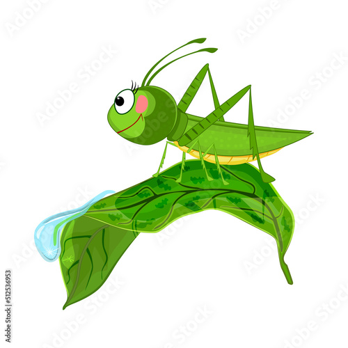 Grasshopper on leaf isolated. Cute cartoon locust crawling on leaf with dew drop. Funny grasshopper in summer nature. Mascot character green beetle.Happy smiling insect.Amusing bug.Vector illustration