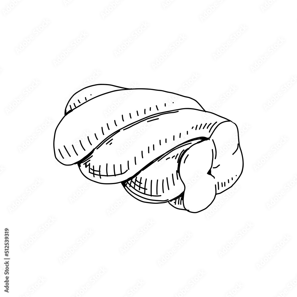 Twisted marshmallow candy, retro hand drawn vector illustration.