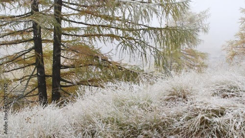 mountain landscape in winter, panoramic, snow, wood,  photo