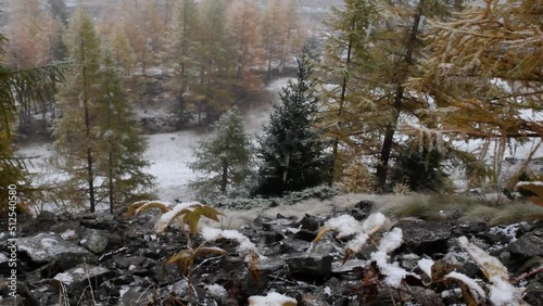 mountain landscape in winter, panoramic, snow, wood,  photo