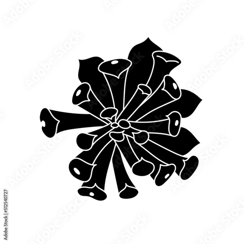 Succulent echeveria in simple style, vector illustration. Desert flower for print and design. Silhouette mexican plant, graphic isolated element on a white background. Houseplant for decor interior
