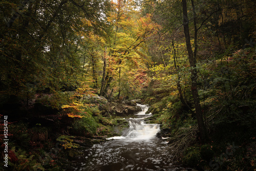 Fototapeta Naklejka Na Ścianę i Meble -  Waterfall in autumn forest.