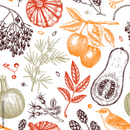Autumn seamless pattern in sketched style. Botanical drawings of autumn leaves, pumpkins, berries, bird. Vintage fall plants hand drawn background. Thanksgiving day sketches background