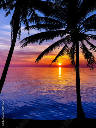 Nice sunset. Dark palm trees silhouettes on colorful tropical ocean sunset background