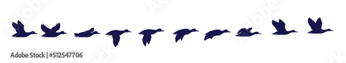 A flock of ducks is flying. Frames for animation.