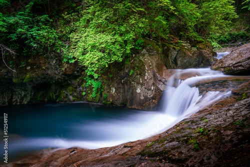 Beautiful Jungle waterfall in a tropical forest with rock and old tree blue freshwater river. Summer season new leaves. Natural landscape background. Unique photos  Its name is Nishizawa Japan