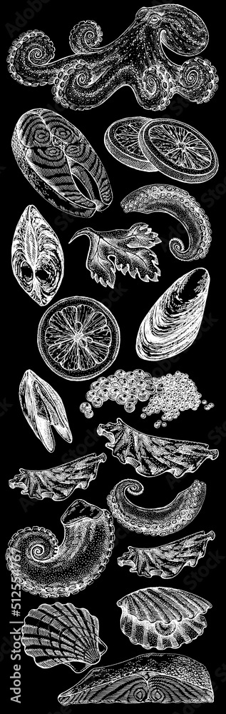 Obraz premium Seafood illustrations. Hand drawn line sea fishes, sushi rolls, oysters, mussels, lobster, squid, octopus, crabs, prawns