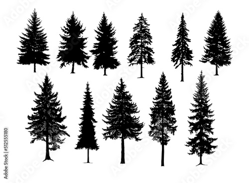 Set silhouette of different  pine trees  conifer tree silhouettes isolated on white background. Collection. Bundle of trees. Good for nature design or decoration template.