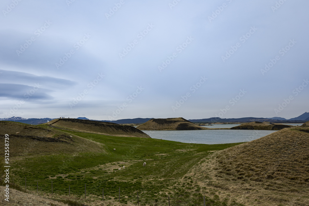 Several Icelandic sheep grazing on a meadows of hills next to a lake. Several Icelandic sheep grazing on a meadows of hills next to a lake.