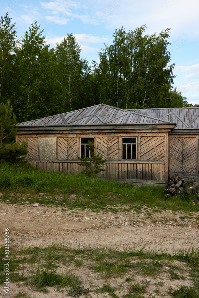 old wooden house in the woods
