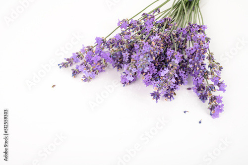 Bunch of lavender isolated on white background.