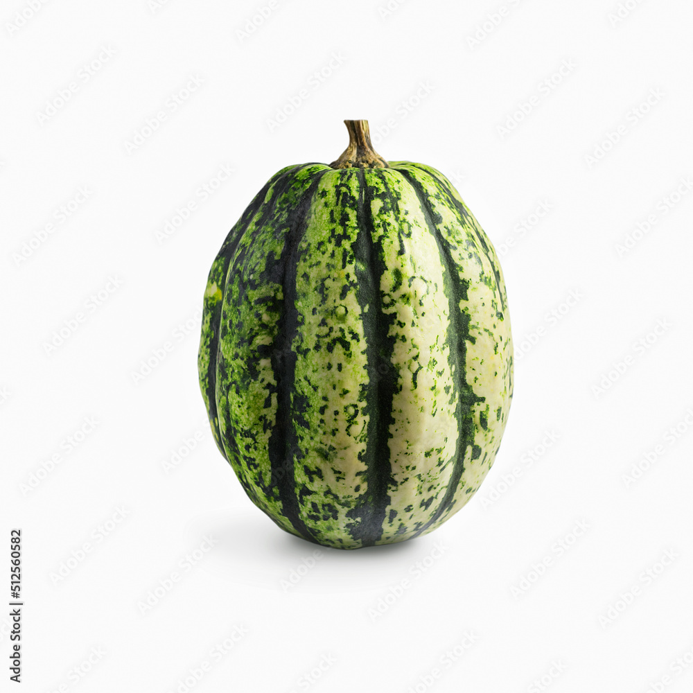 A ripe pumpkin of green color, isolated on a white background. Close-up. Traditional festive decorative element on Halloween or Thanksgiving A ripe pumpkin of green color, isolated on a white background. Close-up. Traditional festive decorative element on Halloween or Thanksgiving