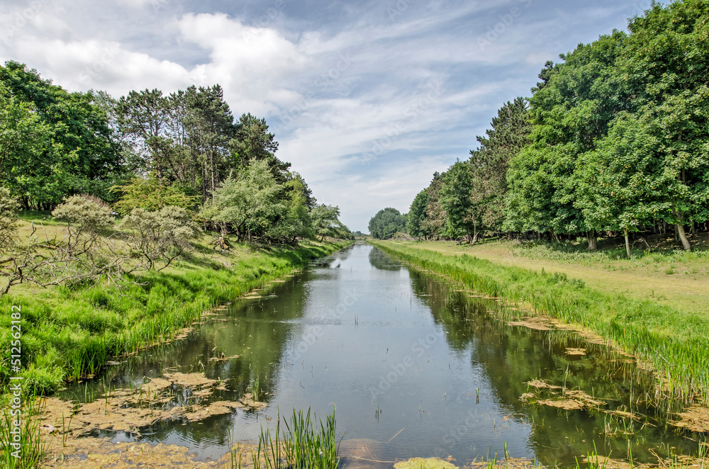 Long and straight canal, lined with reeds, grass, trees and bushes, in the dunes between Zandvoort and Noordwijk in the Netherlands Long and straight canal, lined with reeds, grass, trees and bushes, in the dunes between Zandvoort and Noordwijk in the Netherlands