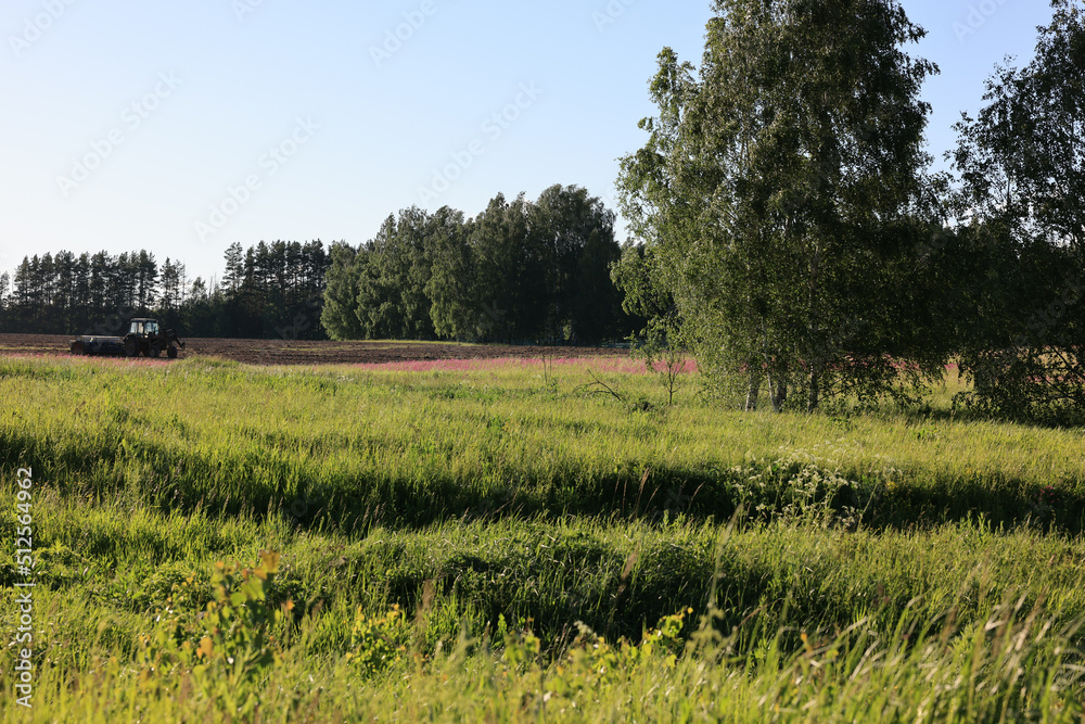 landscape with a field and trees