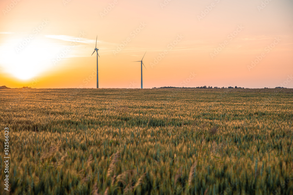 Fototapeta premium View of wind power turbines, part of a wind farm. Wind turbines on green field in countryside. Wind power plant.