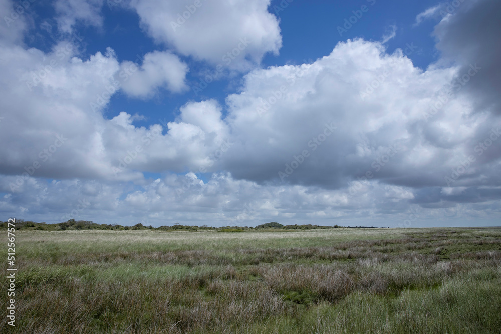 Schiermonnikoog waddeneiland. Netherlands. Waddenzee. Coast