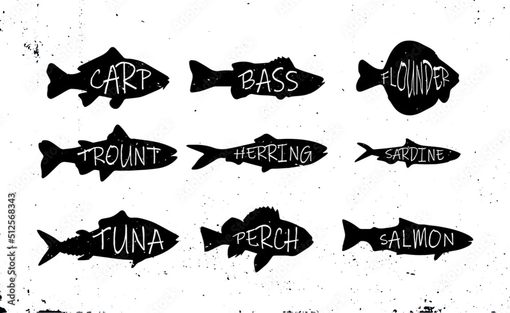 Set of silhouette of commercial fish. Collection of fresh raw edible cartoon fish with title. Object for packaging, labels, menus. Vector illustration. Set of silhouette of commercial fish. Collection of fresh raw edible cartoon fish with title. Object for packaging, labels, menus. Vector illustration.