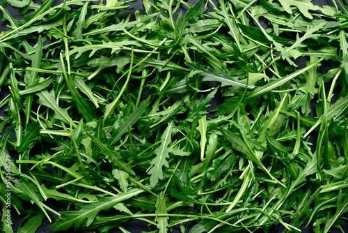 Background with fresh arugula leaves.