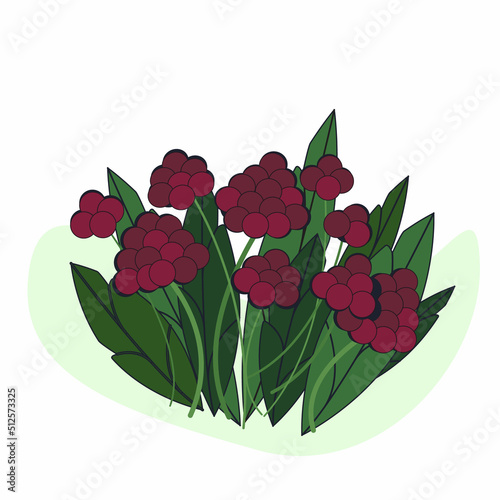 Flat vector illustration of summer blackberries and leaves with abstract background