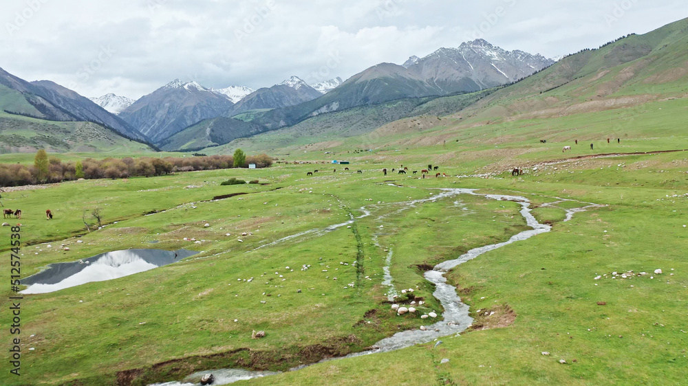 Chong Ak Suu valley, Grigoryevskoe gorge, Issyk-Kul lake, slopes of the Tien Shan mountains, Kyrgyzstan
