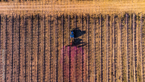 VIÑEDOS desde la provincia de ZAMORA photo