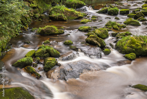 boulders covered with moss in the river