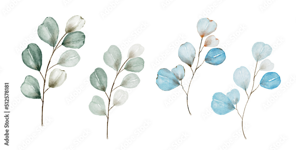 Obraz premium Set watercolor herbal elements.Eucalyptus Green leaf branches.Isolated on a white background.