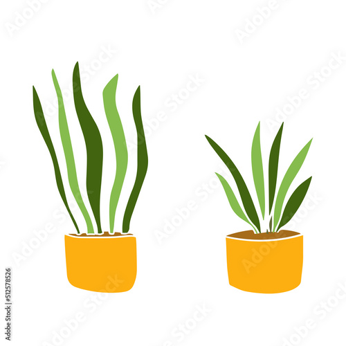 Collection of green plants in pot isolated on white background. Set realistic modern minimal design elements.