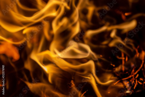 Close up photo of firewood in bonfire