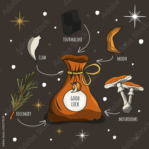 A pouch for good luck. Ingredients for the potion. Alchemy. Magic. Rosemary, tourmaline, tooth, mushrooms, moon. The time of witchcraft. Witch's potion.