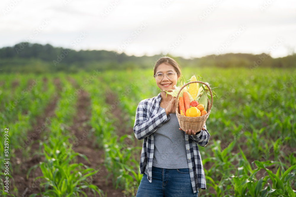 Beautiful young brunette Portrait Famer Woman hand holding Vegetables in the bamboo basket on green Farming Plant at sunset background ,Organic fresh harvested vegetables; Beautiful young brunette Portrait Famer Woman hand holding Vegetables in the bamboo basket on green Farming Plant at sunset background ,Organic fresh harvested vegetables;