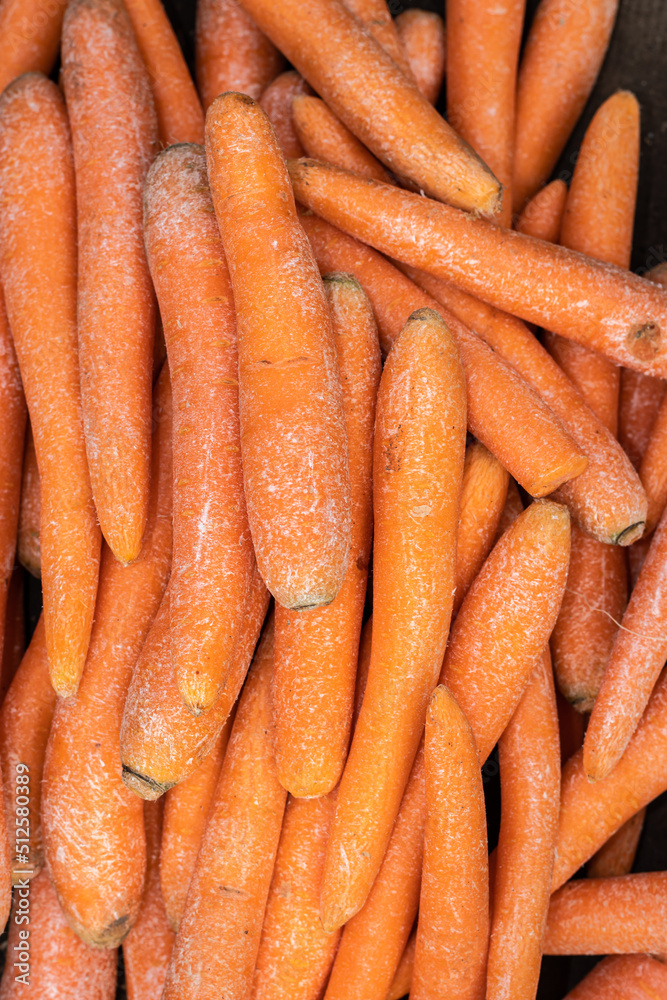 fresh organic carrot from farm close up from different angle fresh organic carrot from farm close up from different angle
