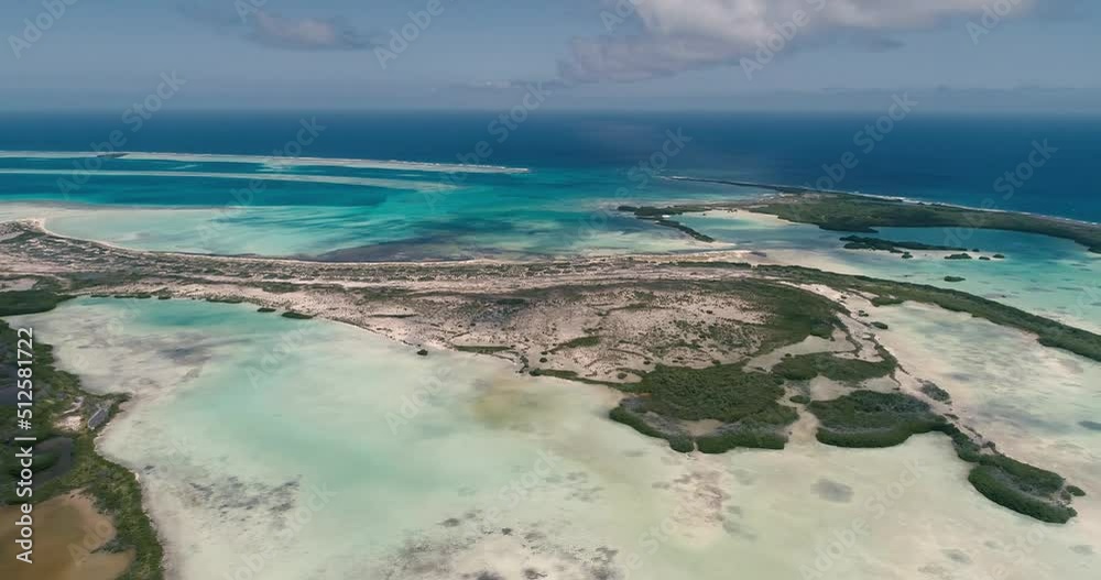 Mangrove Forest reveal nature reserve, turquoise water and wetland around, los Roques, Drone pan right shot Mangrove Forest reveal nature reserve, turquoise water and wetland around, los Roques, Drone pan right shot