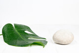 Monstera deliciosa leaf and stone on a white wooden background. 