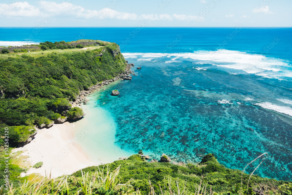 夏の沖縄の海と植物の景色