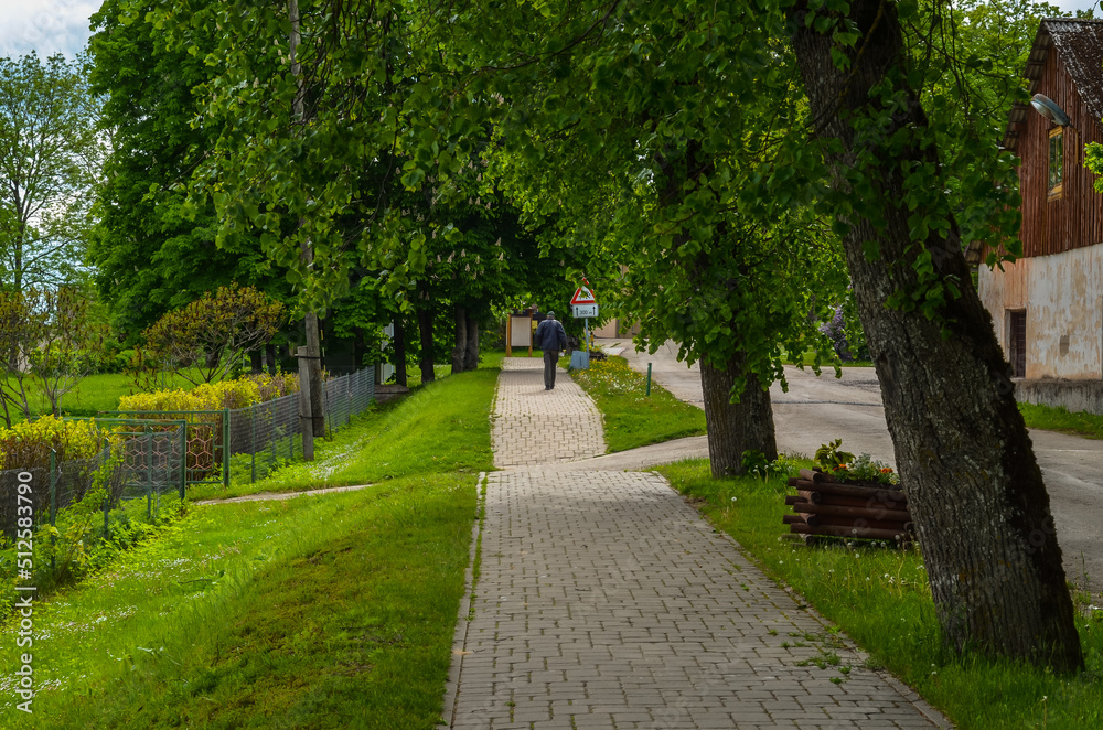 rustic streets in latvia in summer6 rustic streets in latvia in summer6