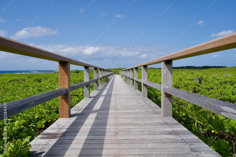 Wood deck path through a rocky reef area with thick vegetation on Irabu Island. Wood deck path through a rocky reef area with thick vegetation on Irabu Island.