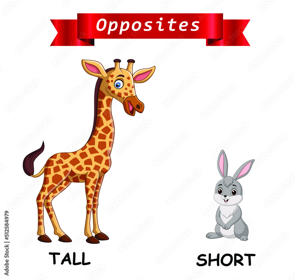 Opposite English words Tall and Short Opposite English words Tall and Short
