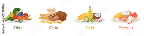 Set of healthy macronutrients. Fiber, proteins, fats and carbs presented by food products. Vector illustration of nutrition categories. Balanced nutrition. Healthy food